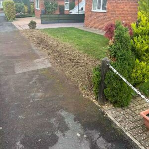Branch by Branch Shrub and Hedge Clearing