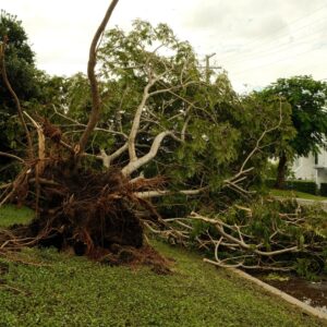 Emergency Storm Damage