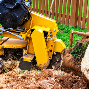 Stump Grinder Branch by Branch